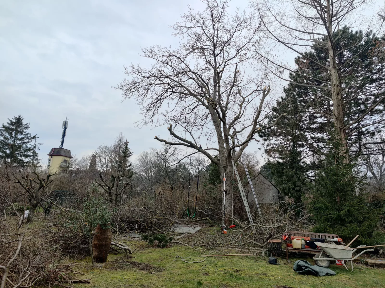 Sträucher pflegen, Bäume und Hecke schneiden