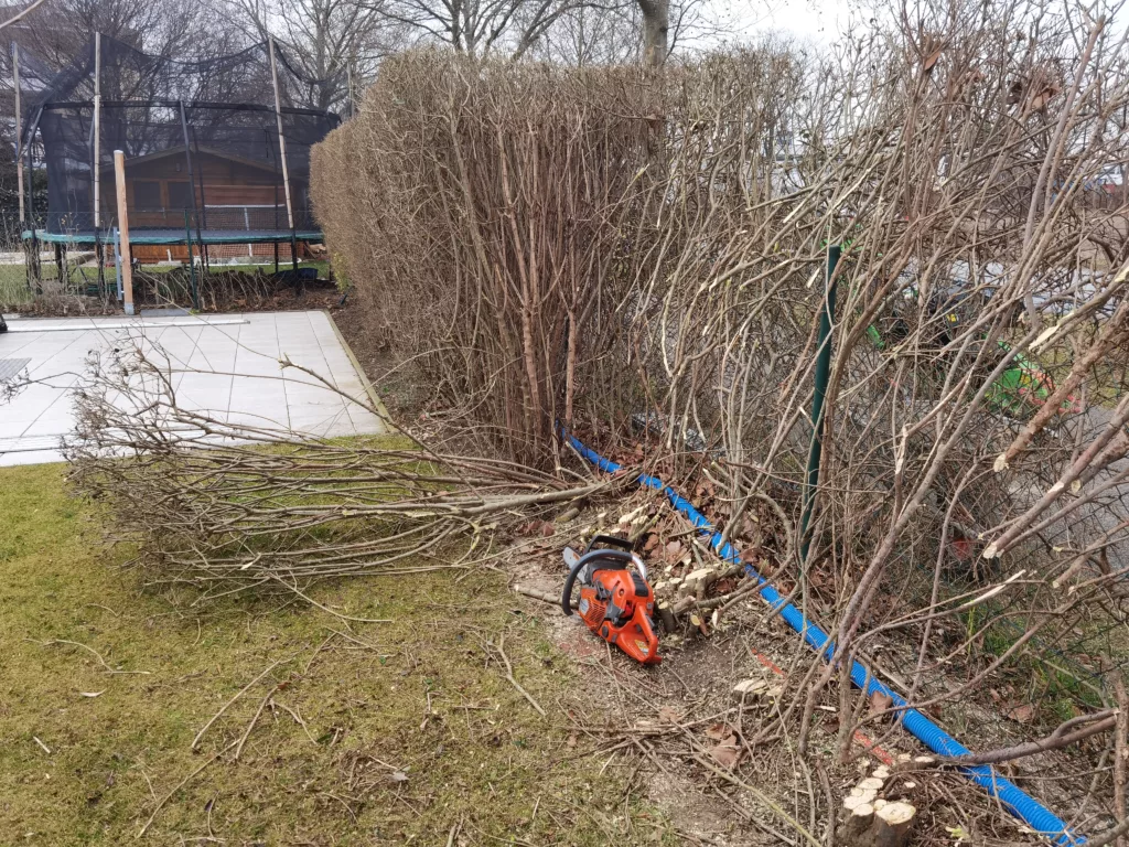 Hecke entfernen ohne Bagger