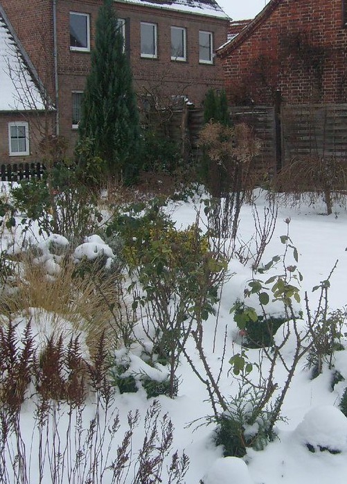 Winterarbeiten im Garten