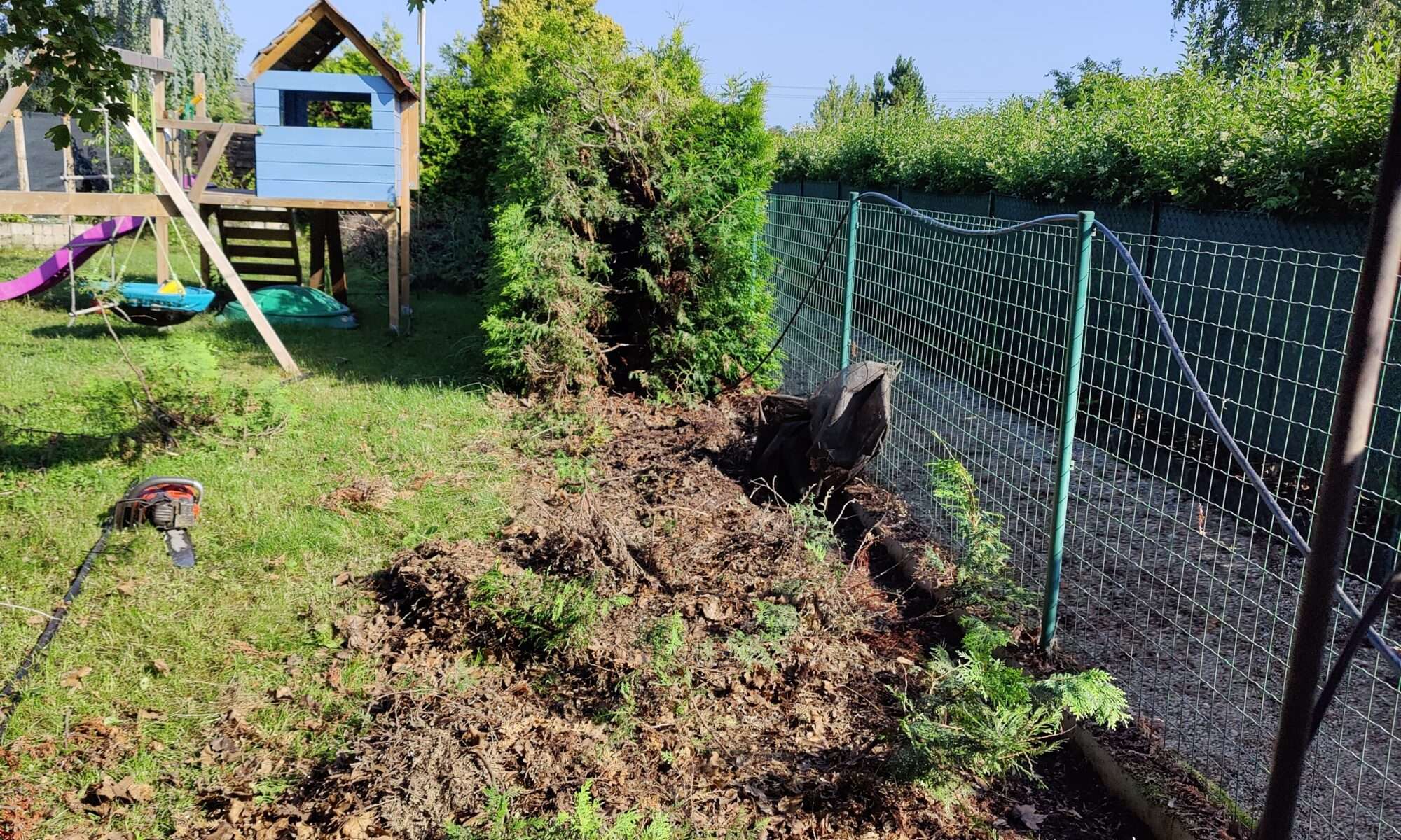 Alte Hecke entfernen samt Wurzel