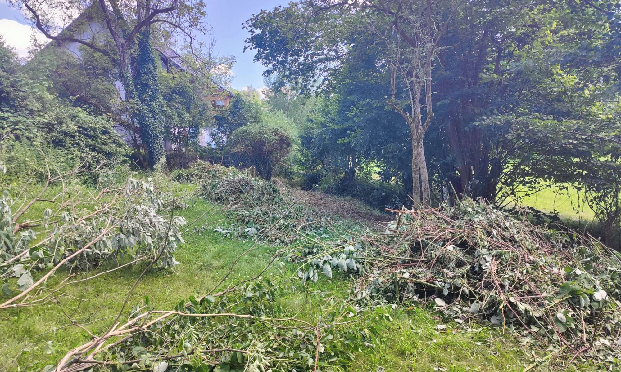Grundstück roden & Bewuchs entfernen